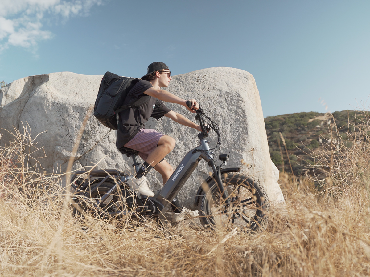 Himiway Big Dog Electric Cargo Bike